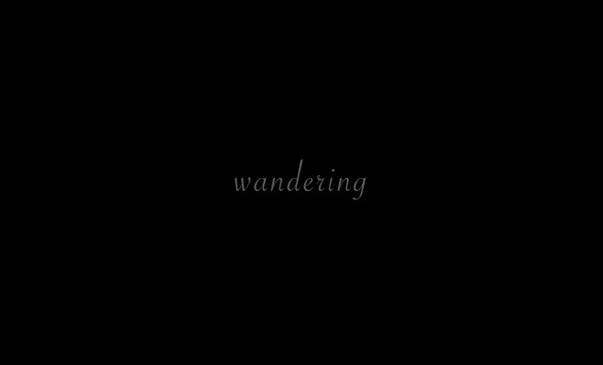 wandering body of work (Most of these pieces do not fit into any one category or body of work. Some of the pieces were made while traveling and some were made while wandering between places, people or events.)  title page, and link to: two-dimensional: Wandering1
